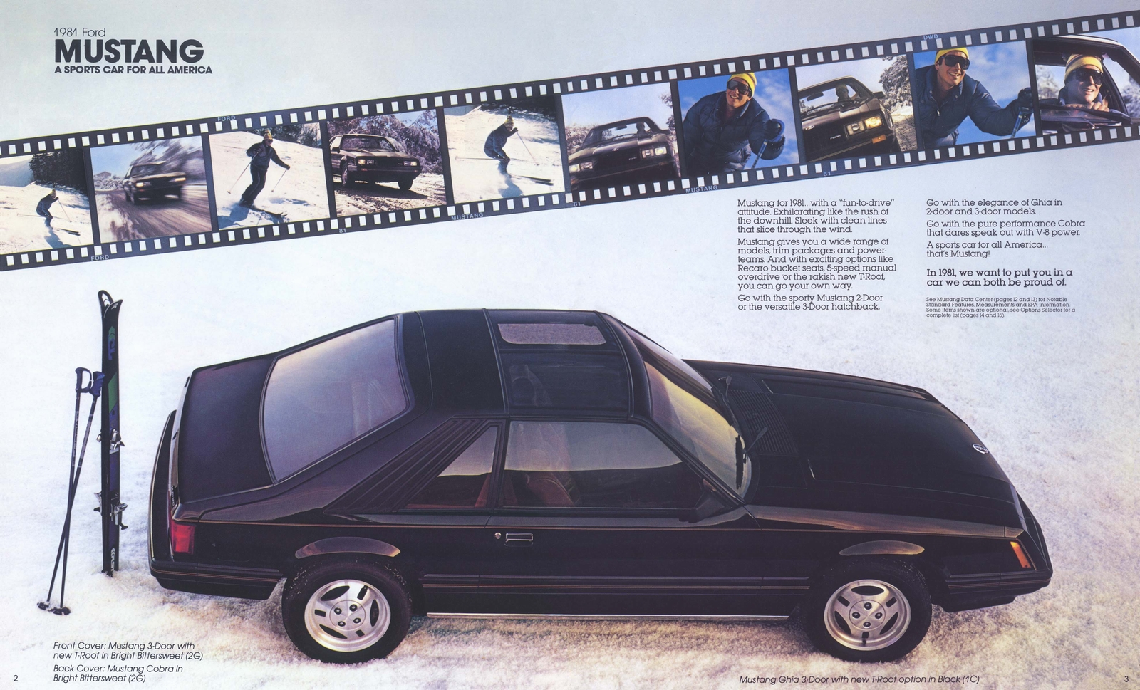 n_1981 Ford Mustang (Rev1)-02-03.jpg